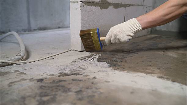 Crawl space vapor barrier installation in Rose, NY